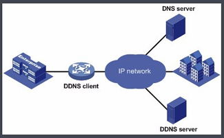 端口被屏蔽环境下花生壳动态域名服务的应用与解决方案